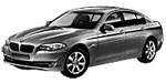 BMW F10 U217C Fault Code